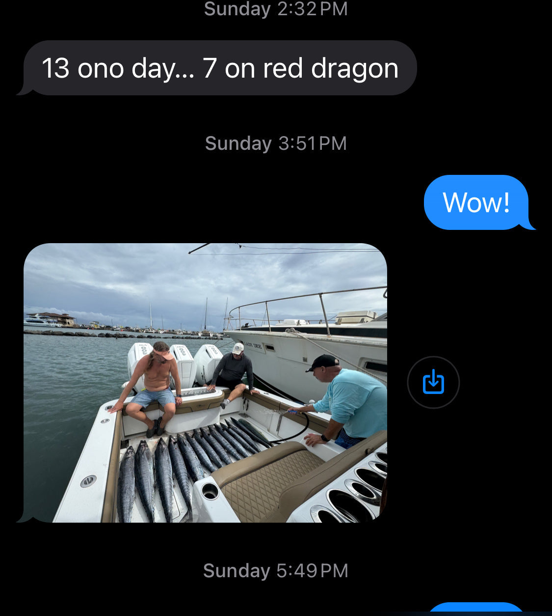New! Tsutomu 9" Jetted Kona Dragon. Red Dragon