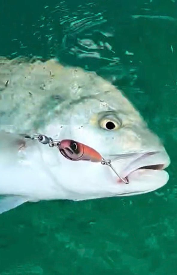 Tsutomu Lures: Buoy Snack Pack