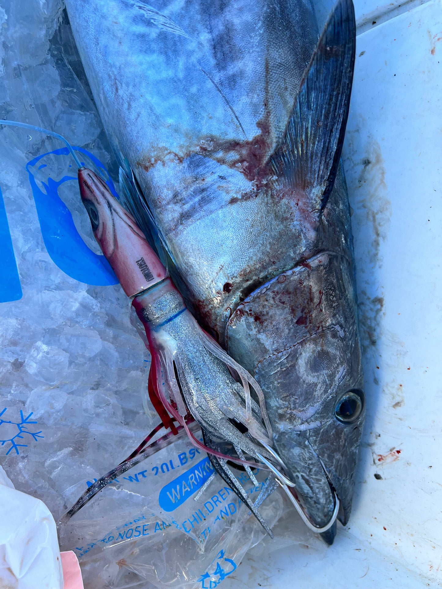 New! Tsutomu 9" Jetted Kona Dragon. Red Dragon